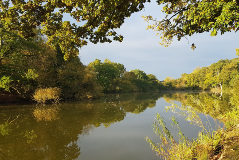 Berkley Lake