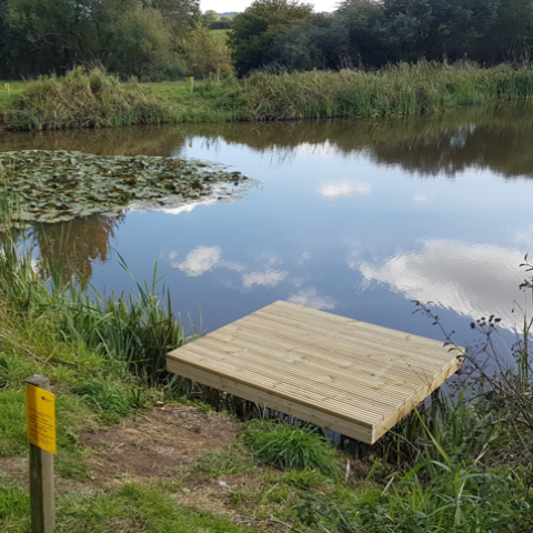 Witham Friary Lakes